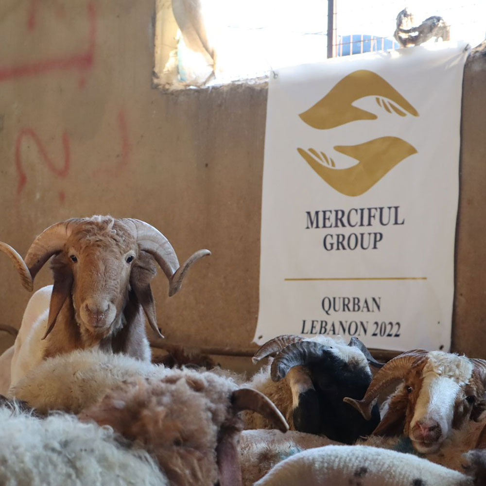 Qurban - Lebanon Delivery